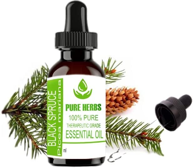 Generic Pure Herbs Black Spruce (Picea Mariana) Pure & Natural Therapeutic Grade Essential Oil (Plastic) (30 ml)