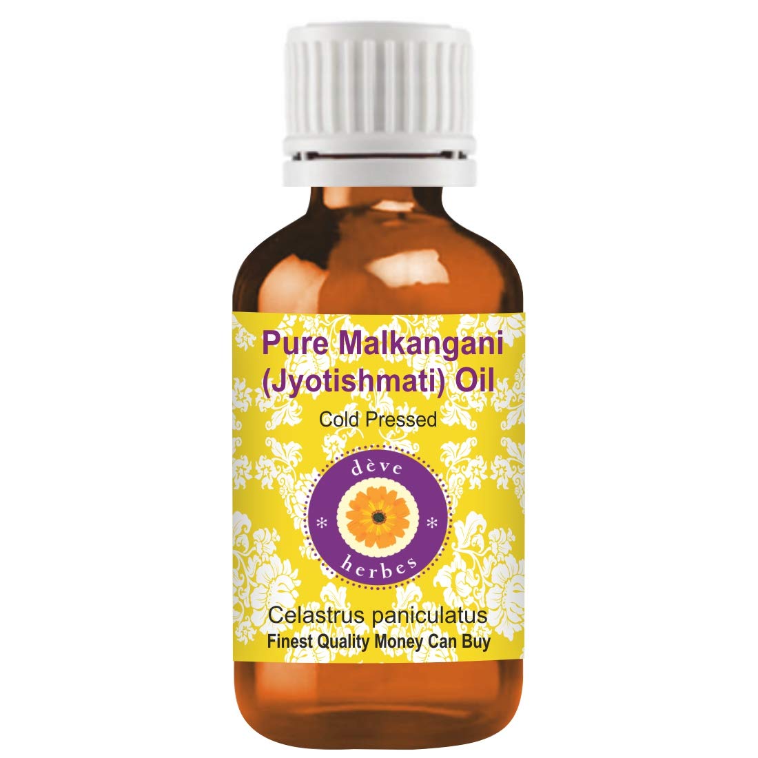 Deve Herbes Pure Malkangani (Malkangni/Jyotishmati) Oil (Celastrus Paniculatus) with Internal Plastic Euro Pipette 100% Natural Therapeutic Cold Pressed 50ml