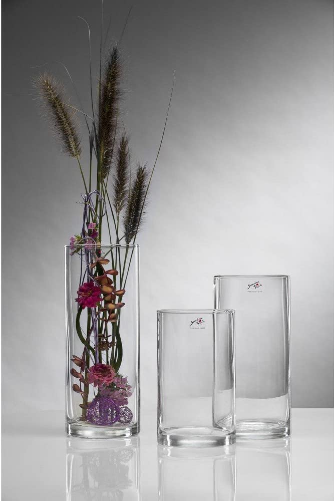 Sandra Rich Set of 12 Glass Vases Decorative Glasses CYLI Height 20 cm Diameter 12 cm cylindrical