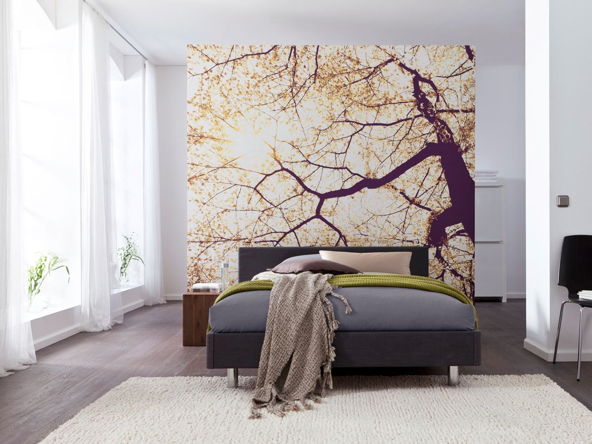 Komar Photo Wallpaper Sunshine, 250 X 250 Cm, 5 Strips