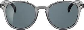 Sunglasses adults gray, transparent frame, 1 piece