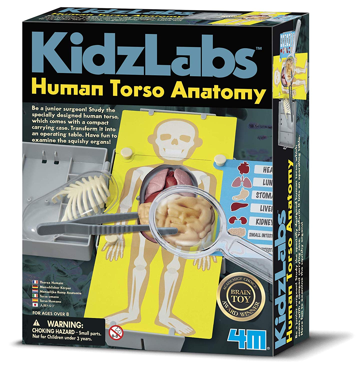4 M Kidz Labs Human Hair Torso Toy