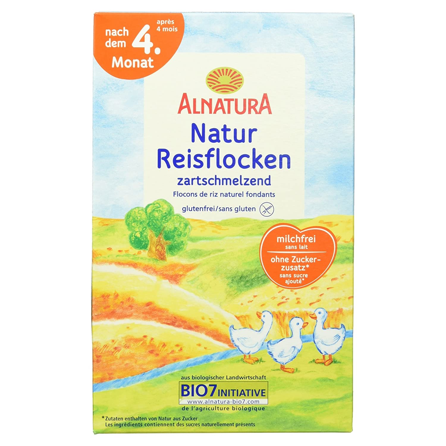Alnatura Bio Instantbrei mit Natur-Reisflocken, 6er Pack (6 x 250 g)
