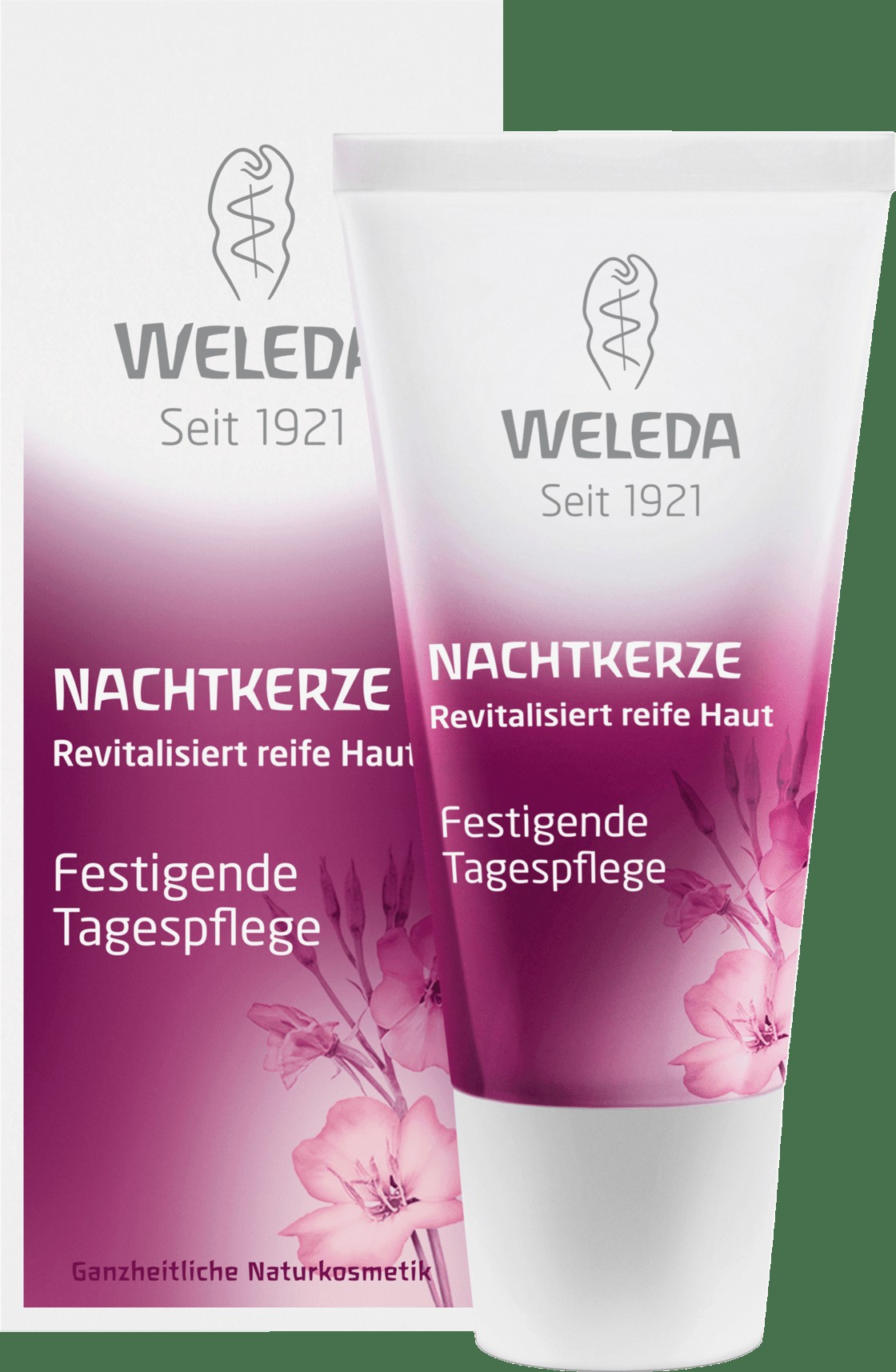 WELEDA Day Cream Evening Primrose Firming Day Care, 30 Ml