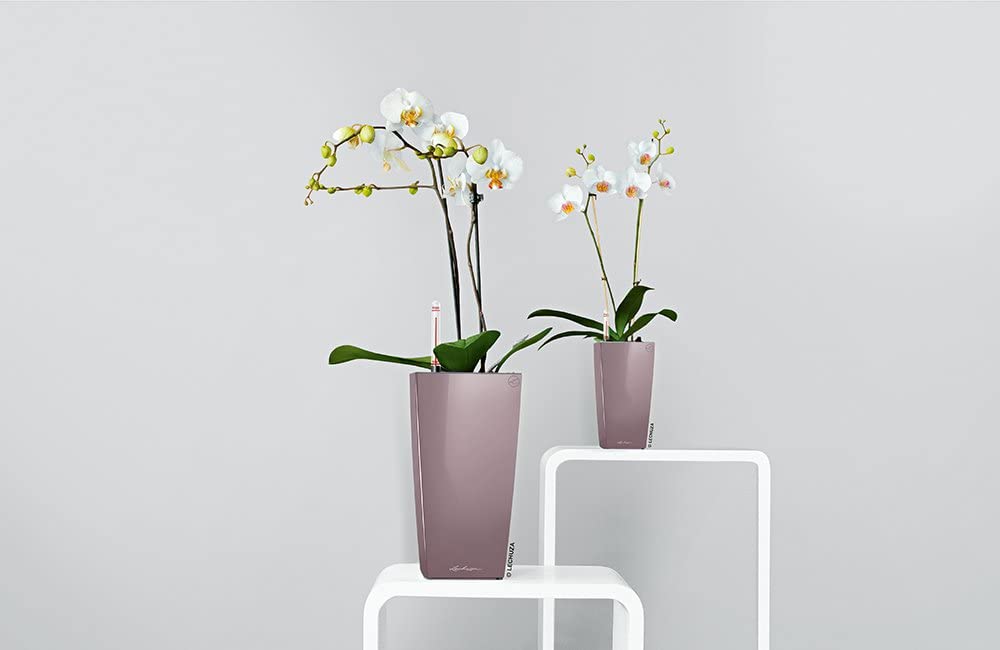 Lechuza “MA x I-Cube” Table Planter with Sub-irrigation System, Single