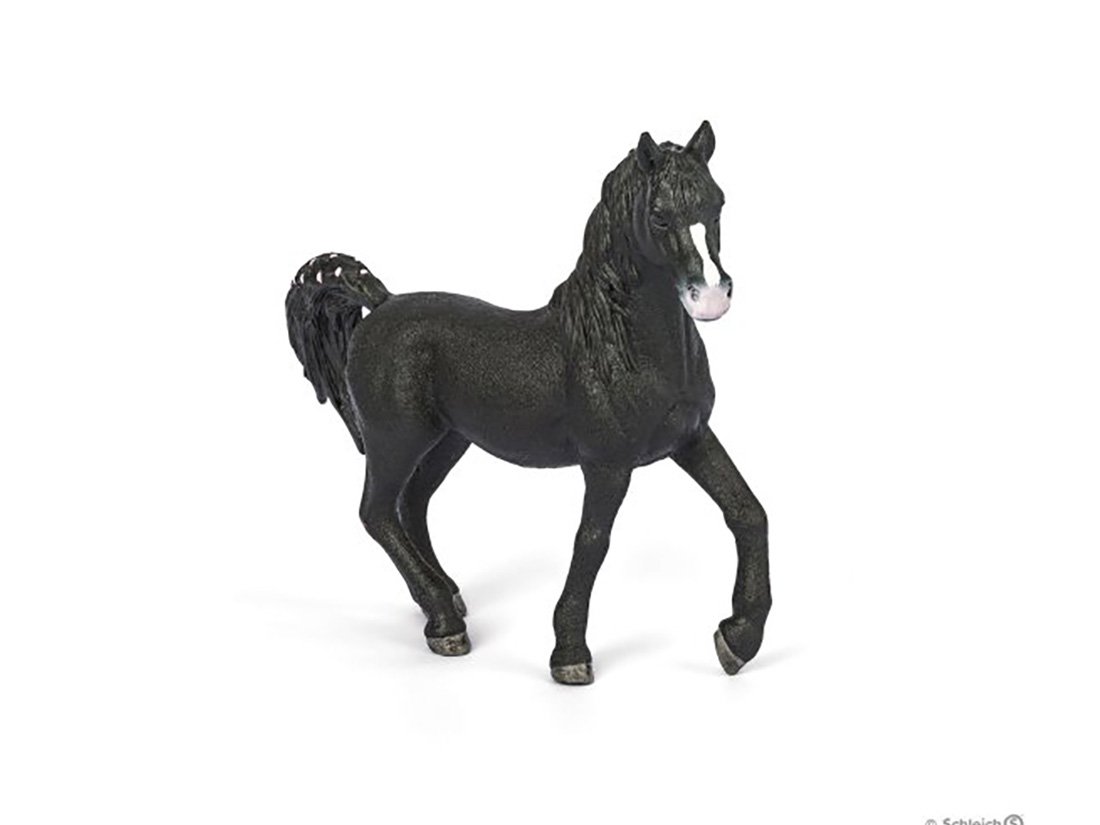 72134 Schleich Arabian Stallion Horse Special Limited Edition Painting