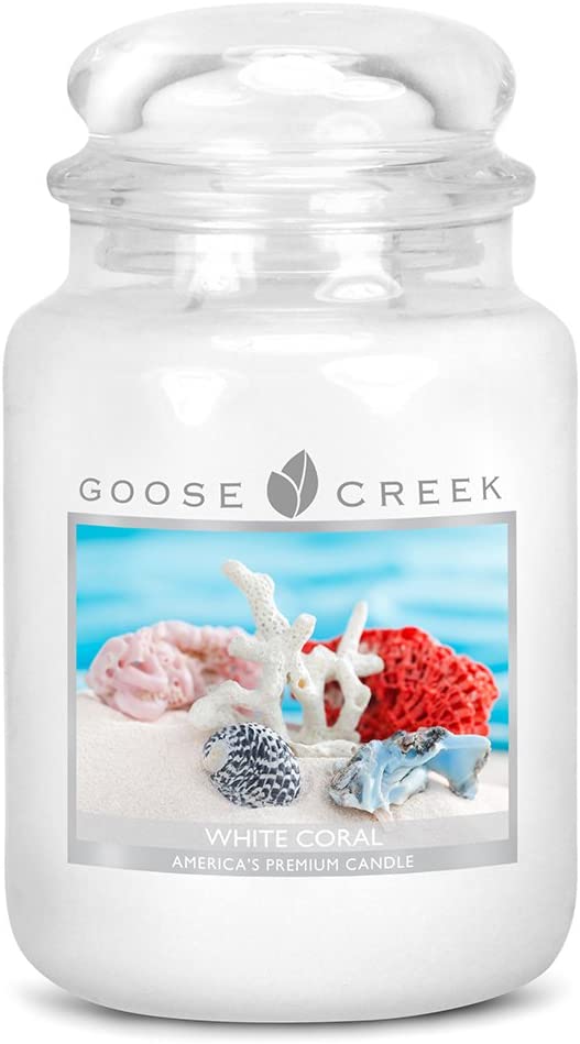 Goose Creek And Candles 24 Ounces – White Coral