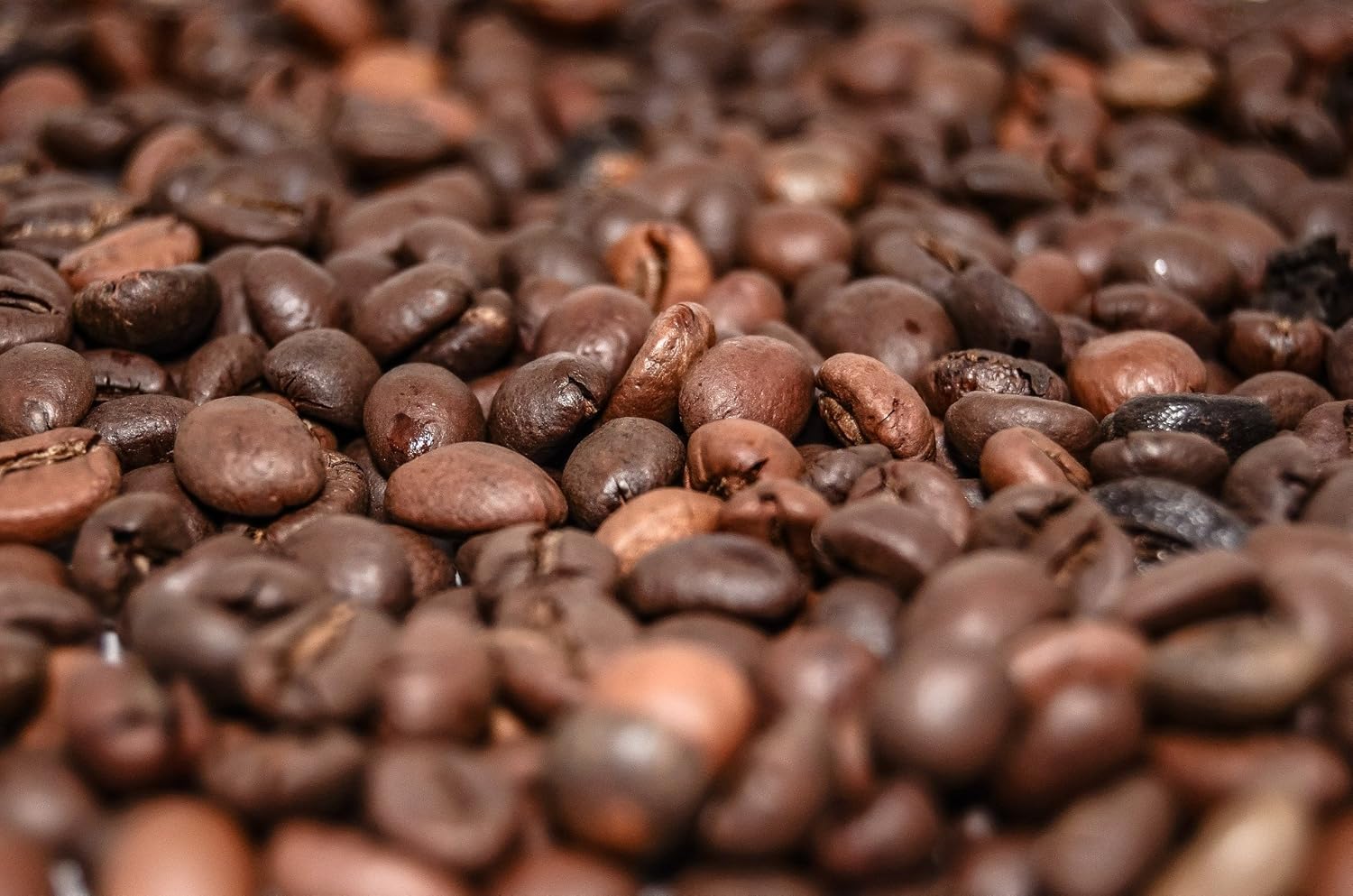Coffee specialty from South America - Galapagos, the special ecosystem of the islands (200 g, whole bean) - country coffee - top coffee - low acid - gentle and freshly roasted