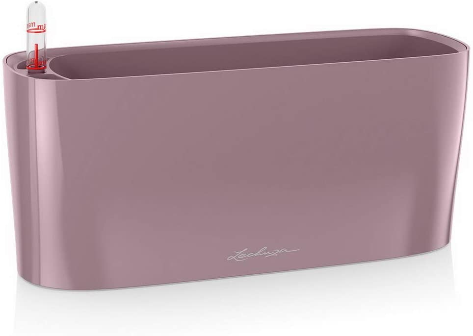 Lechuza., Pastel Purple