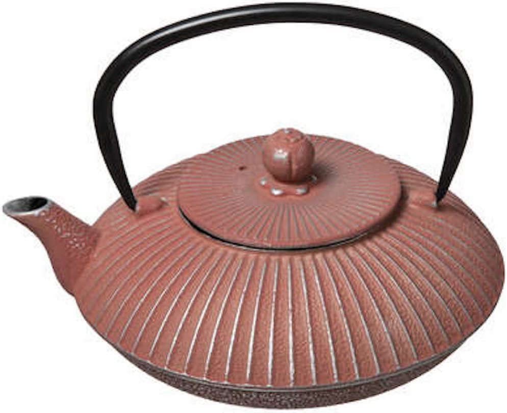 dreamhouse Japanese Cast Iron Teapot with Strainer, 800 ml, Various Teapot Models, Cast Iron, Ceramic, Stoneware Japan Pot, Asian, Chinese, Iron, Japanese Cast Iron Teapot Tea Cast Red
