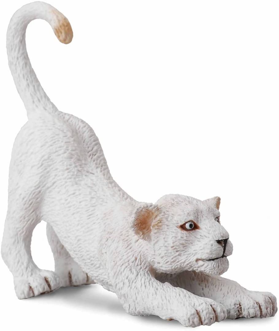 Collecta 88550 White Lion Cub Stretching