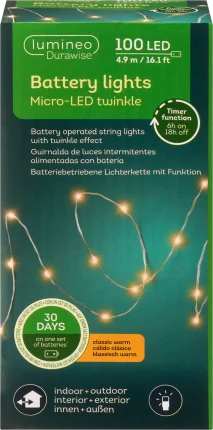 Decorate & set up LED fairy lights, classic warm (100 Micro Durawise), 1 piece