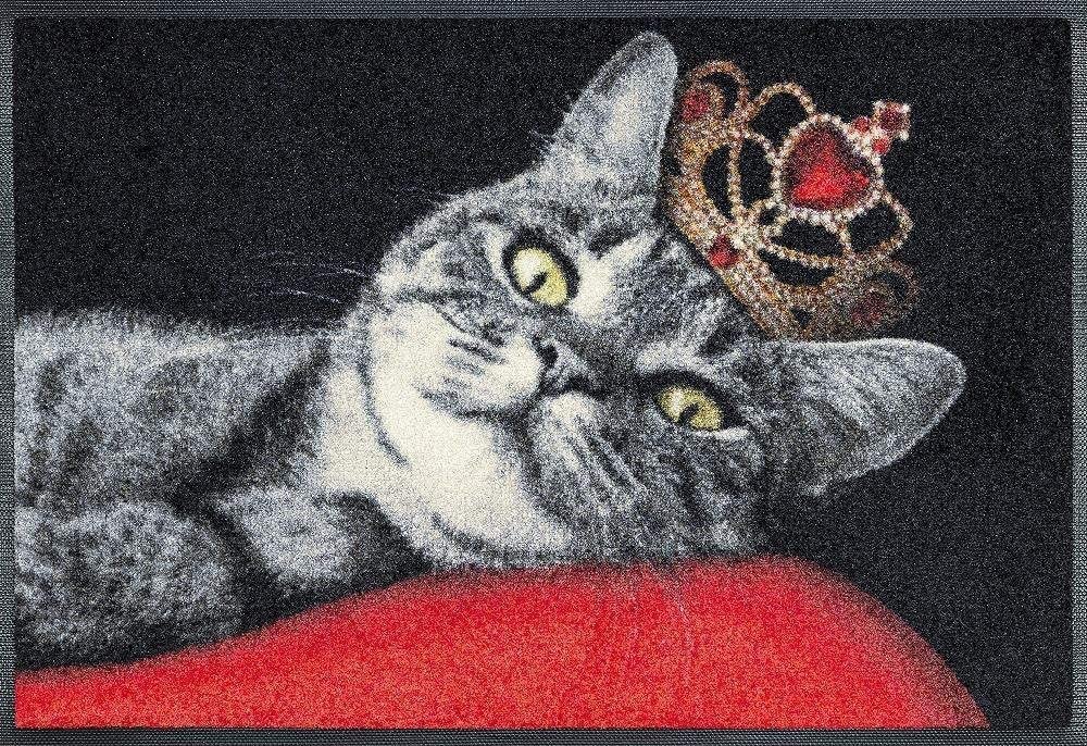 Gallery Of Bavaria Home Style Collection Wash Dry Door Mat Royal Cat With C