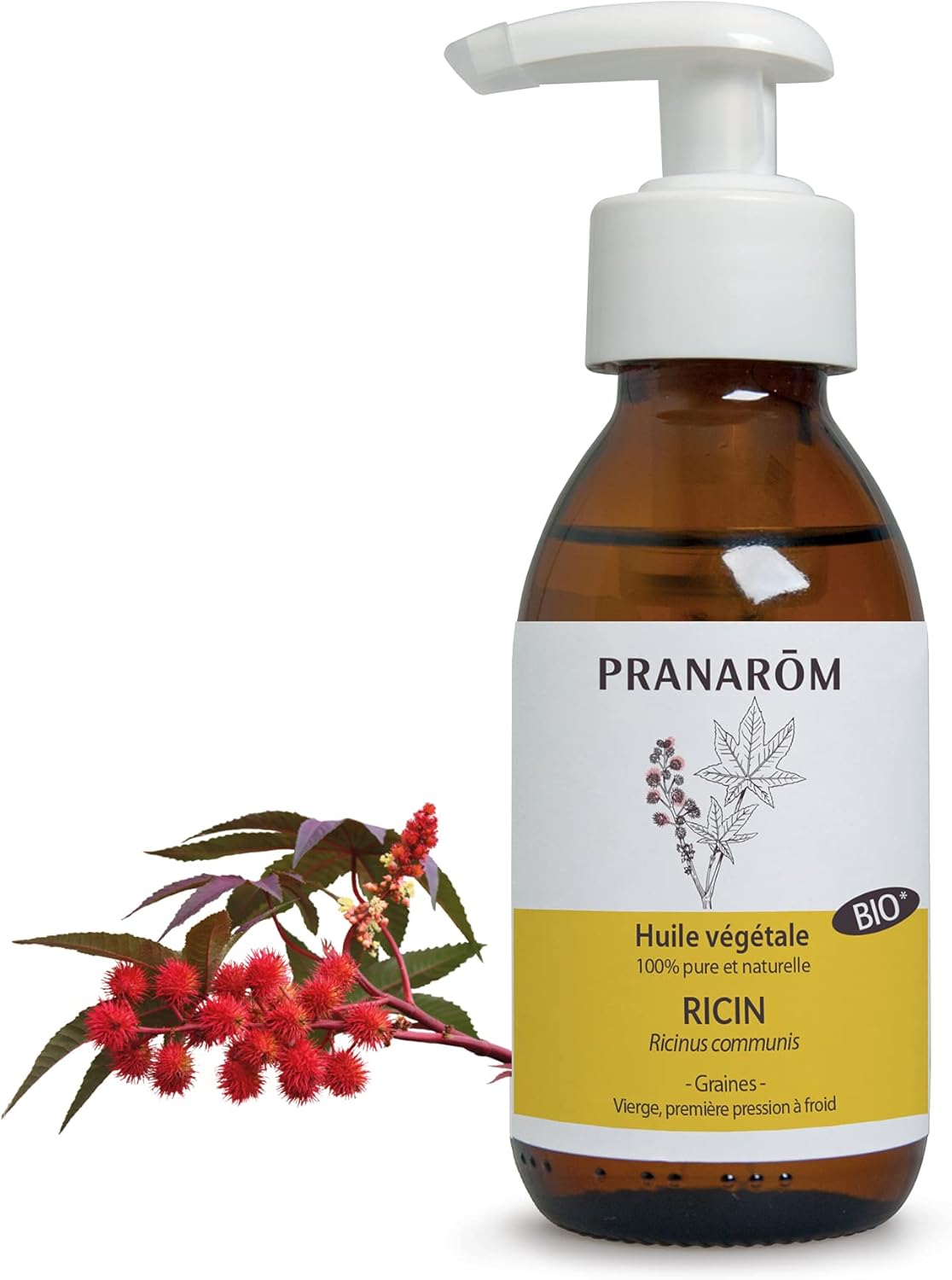 Pranarôm Ricinus Communis Vegetable Oil First Cold Pressing 100 ml