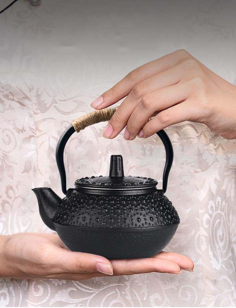 Webao Cast Iron Teapot Traditional Iron Pot Tea for One Teapot Japanese Style Including 300 ml