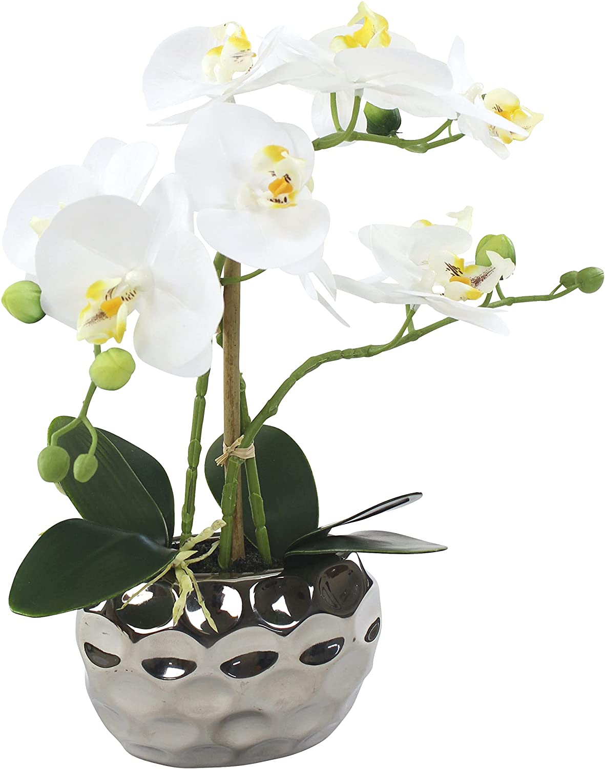 DARO DEKO Artificial Orchid Plant Oval Pot Silver High Gloss and White Flow