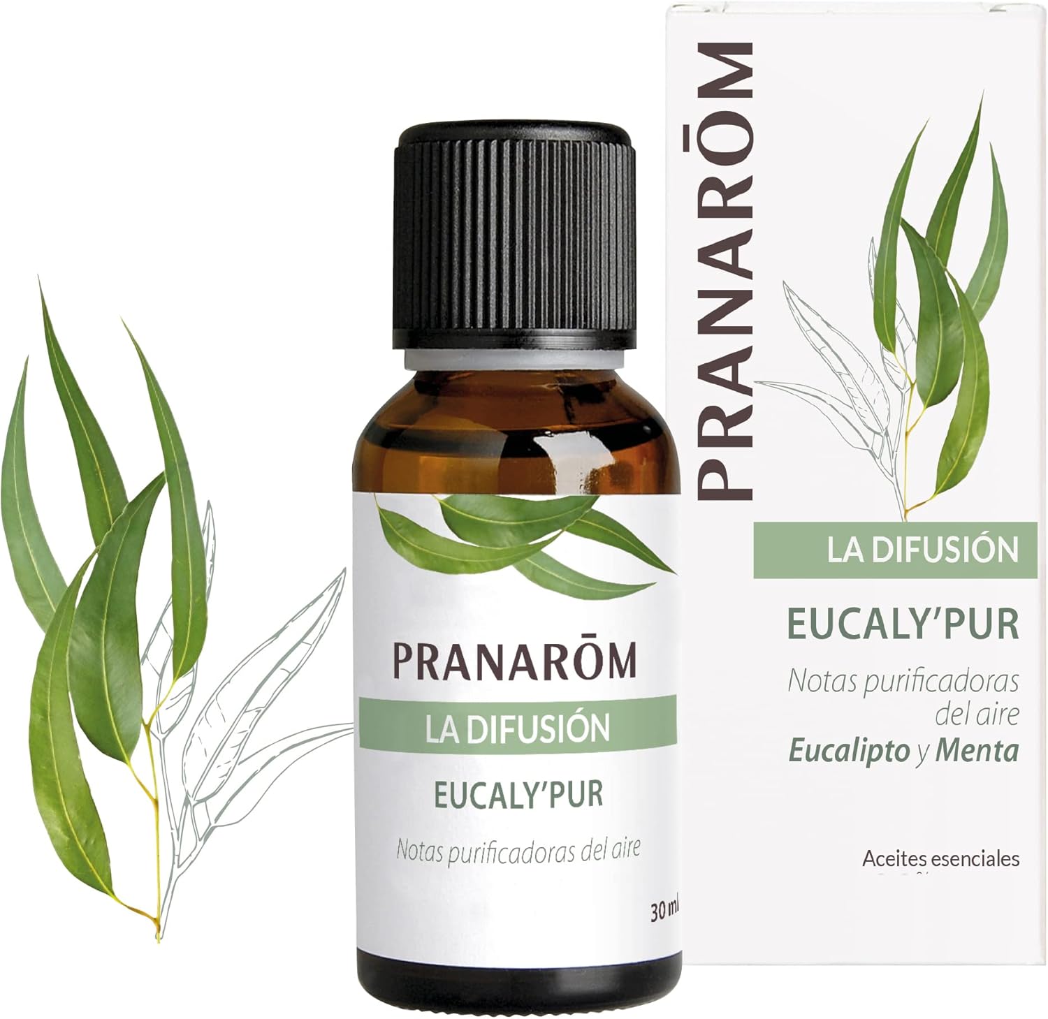 Pranarom Eucalyptus 30 ml - Aromatherapy - Eucalyptus - 150 ml