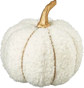 Decorate & Furnish Fabric pumpkin teddy fur, white, 1 pc