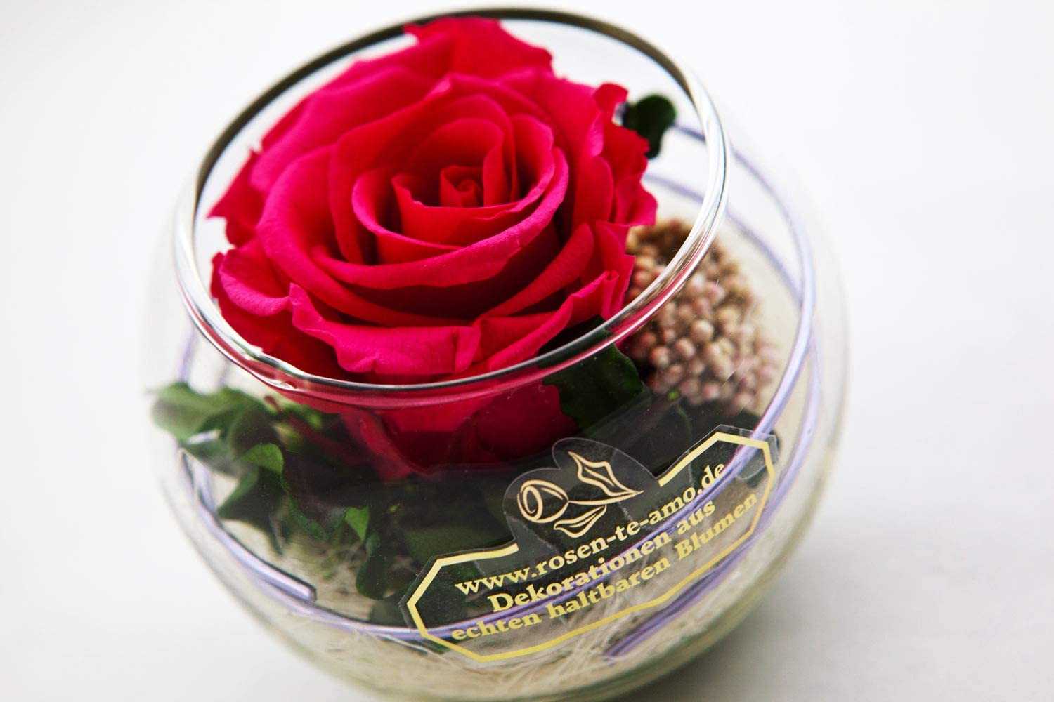 Rosen-te-amo Rose Te Amo Infinity Flower, Flower Arrangement, Durable Rose Box, Preserved Floral Arrangement