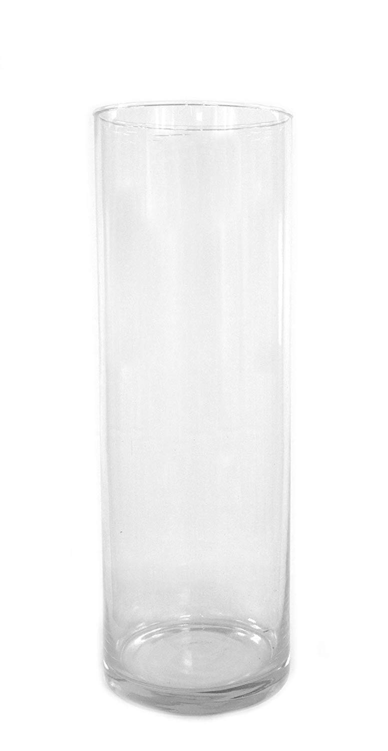 Daro Deko Glass Vase Cylinder Clear