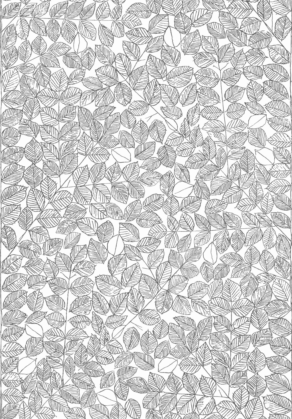 Viola Gråsten 1766 Non-Woven Wallpaper Branches With Leaves Beech In Black 