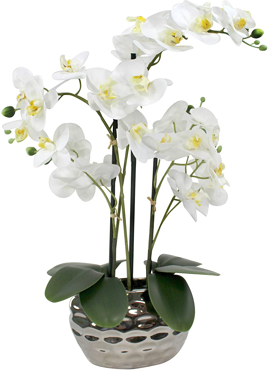 Daro Deko Kunst-Pflanze Orchidee (Ovaler Topf Silber Hochglanz Und Weiße Bl