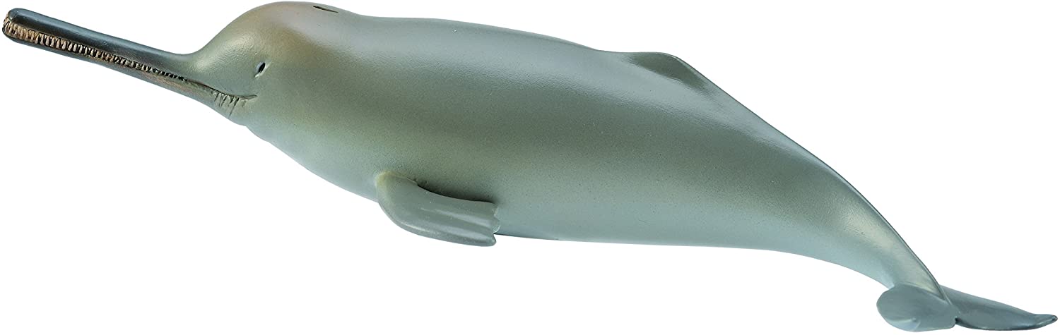 Collecta 88611-Ganges Dolphin
