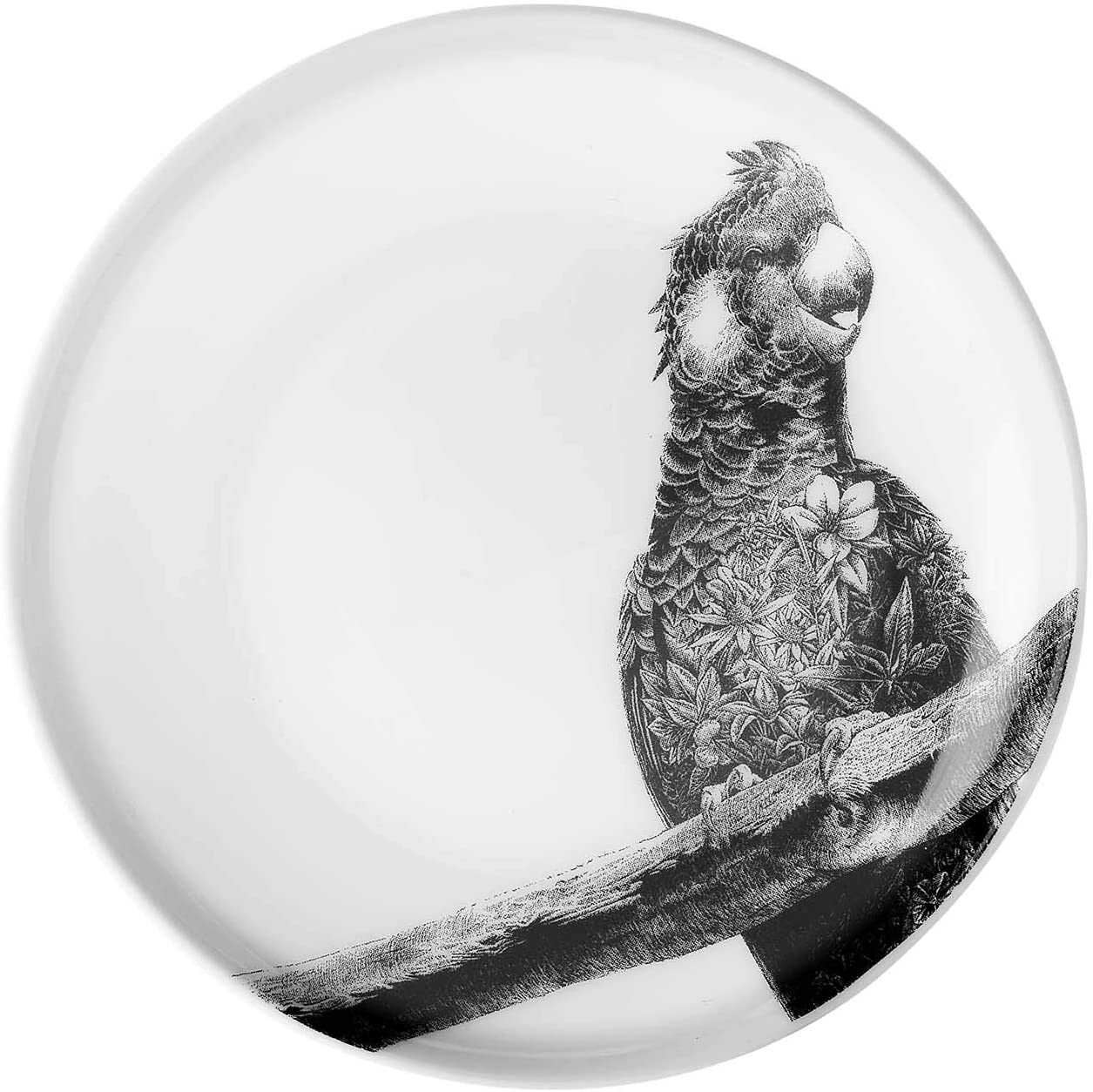 Maxwell & Williams DX0382 Marini Ferlazzo Plate Parrot Bone China Porcelain Black White in Gift Box