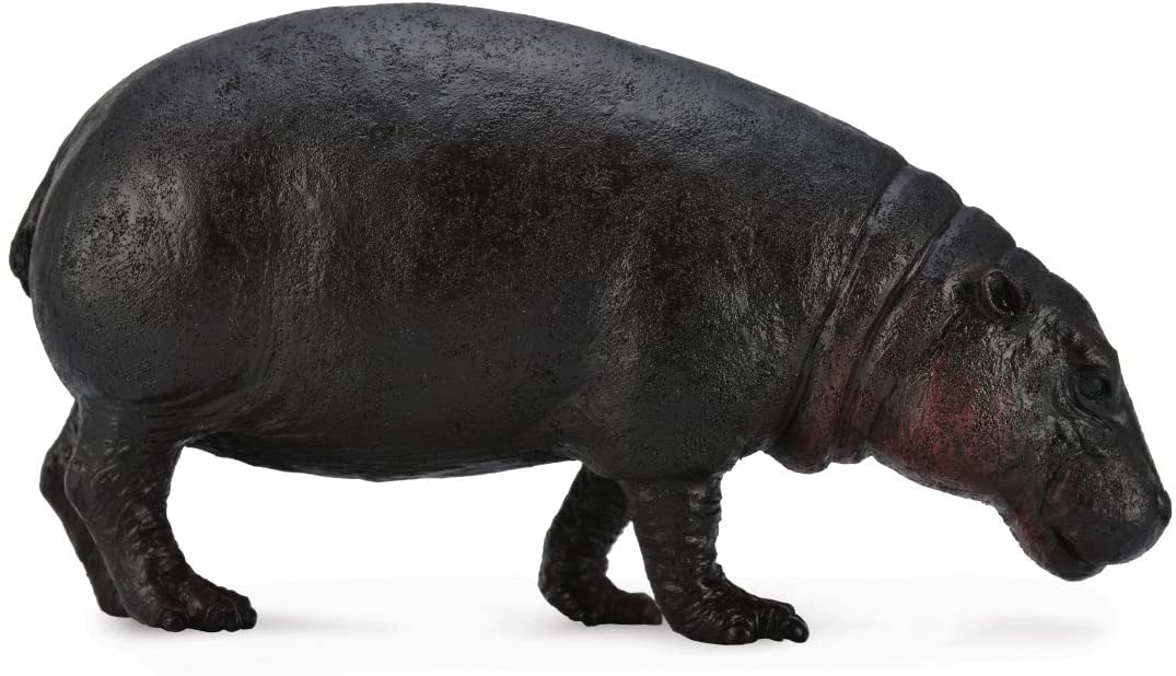 Collecta 88686 - Pygmy Hippopotamus