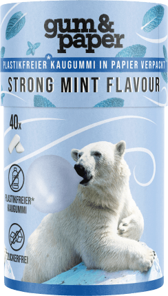 Strong mint chewing gum (40 pieces) in a cardboard box, 55 g