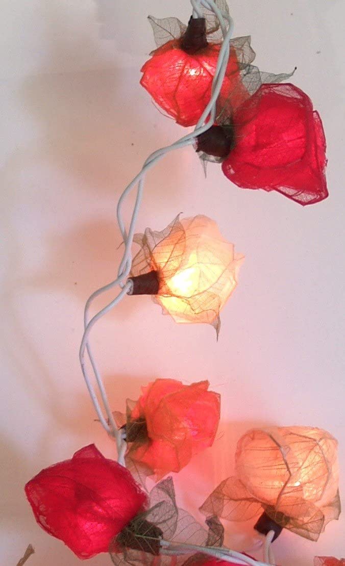 Guru-Shop Paper Roses Led Fairy Lights Pack Of 20 Red, Skeleton Leaves, Flo