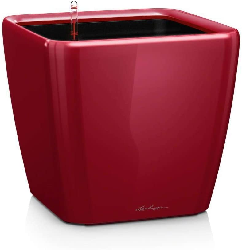 Quadro Ls 17 Premium Series Scarlet Red High-Gloss 16187