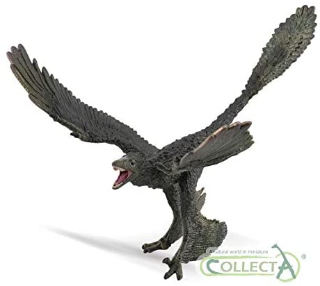 Collecta 88875 Microraptor 16Cm 1: 6 Deluxe Dinosaur