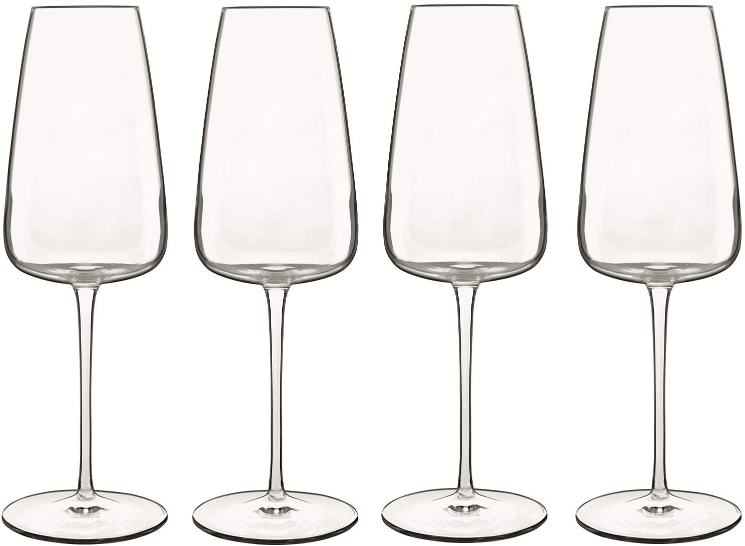 Luigi Bormioli C502 Talismano Champagne Glass