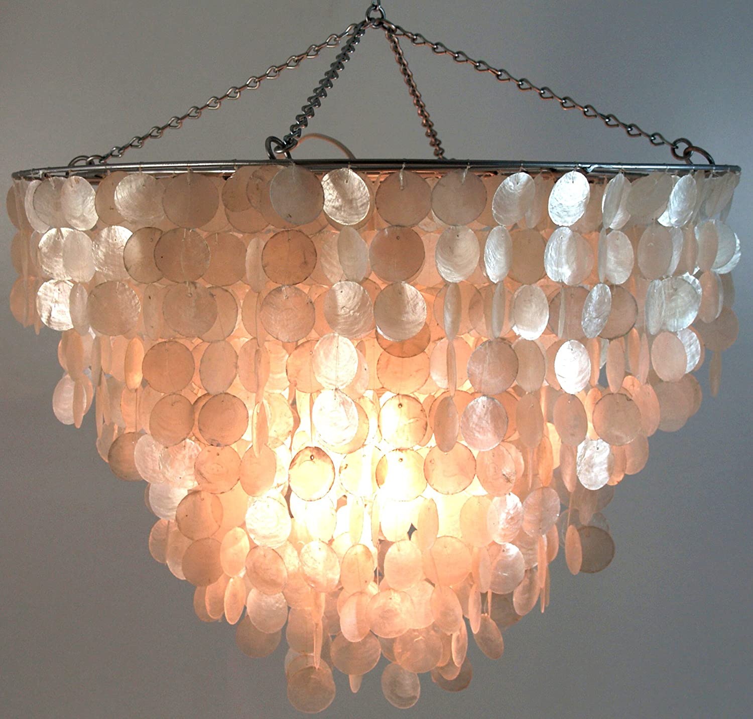 Salomonia Shell Lamp / Lights