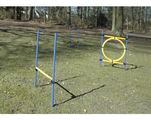 Agility hurdle set