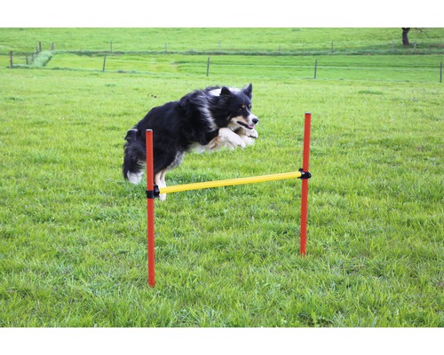 Agility complete set 3 pieces with ring, jumping pole and slalom yellow-red