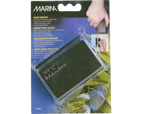 Algae magnet Marina large 8.3 x 6.2 x 3.2 cm