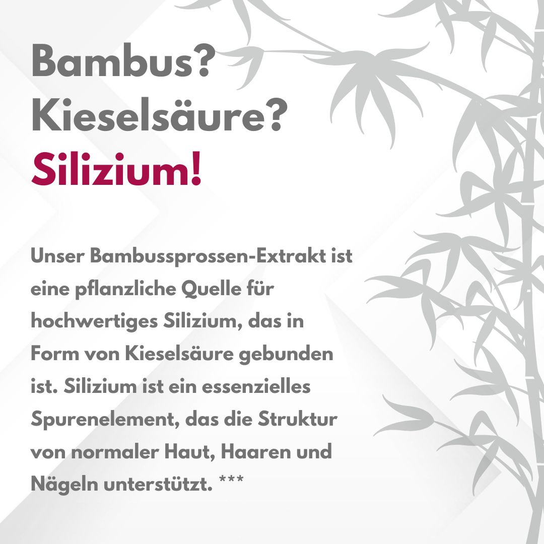 APOmia® innerBEAUTY | Skin-Hair-Nails Formula | Bamboo extract (silicon), zinc, biotin, selenium