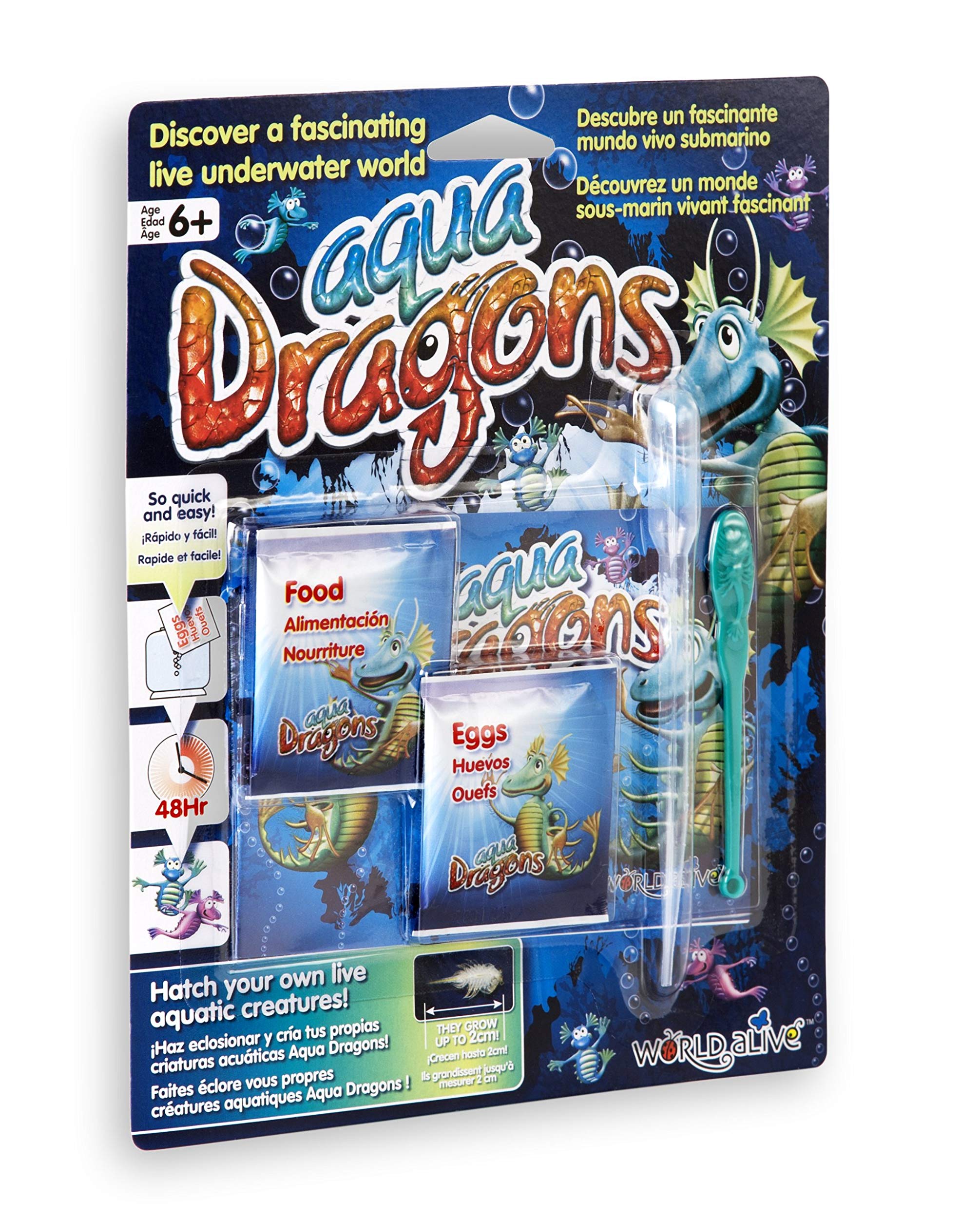 Brainstorm Aqua Dragons