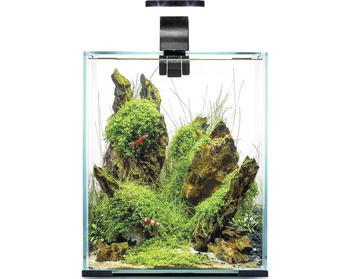 Aquarium Aquael Shrimp Set Day & Night 20 including LED lighting, filter, heater, without black base cabinet, approx. 19 L, approx. 25 x 25 x 30 cm with lamp height approx. 40 cm