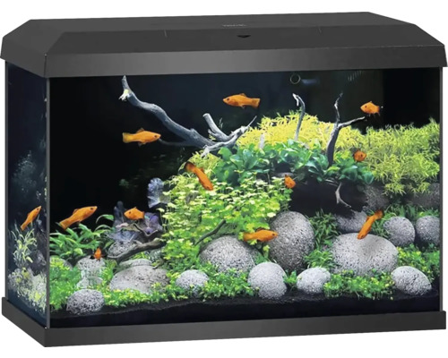 Aquarium JUWEL Primo 70 including cover with LED lighting, heater, filter without black base cabinet