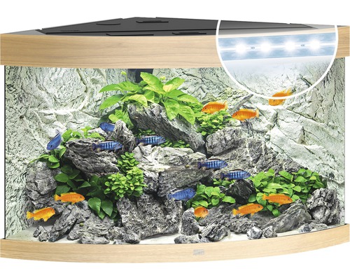 Aquarium JUWEL Trigon 190 with LED lighting, filter, heater without base cabinet light wood approx. 98.5 x 70 x 60 cm approx. 190 L corner aquarium