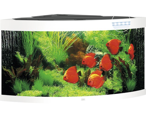 Aquarium JUWEL Trigon 350 with LED lighting, filter, heater without base cabinet white approx. 123 x 87 x 65 cm approx. 350 L corner aquarium