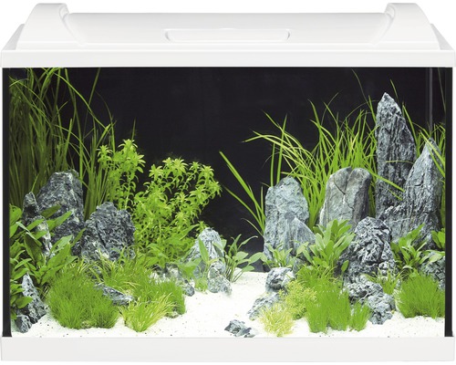 Aquarium set EHEIM aquaproLED 84 with LED lighting, filter, heater, thermometer, safety net without base cabinet white approx. 84 L 60 x 40 x 35 cm
