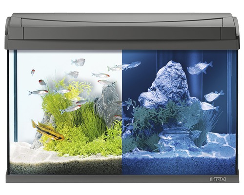 Aquarium Tetra AquaArt Discovery Line 60 l with LED lighting, heater, filter, food without base cabinet anthracite