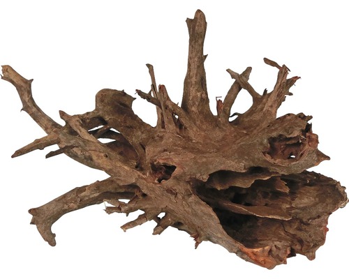 Aquarium decoration Corbo root large