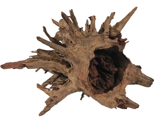 Aquarium decoration Corbo root medium