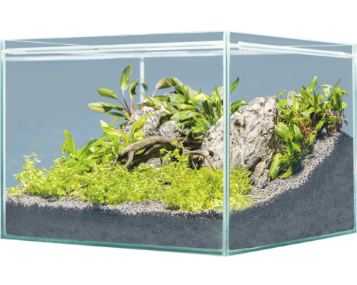 Aquarium decoration sera Hardscape Set Scaper Cube Asia for 48 to 80 liter aquarium, optimal 48 liter, incl. Rock Quartz Gray, Scaper Root, florepot, Gravel Gray (without plants and aquarium)