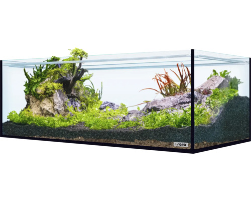 Aquarium decoration sera Hardscape Set Scaper Cube Shrimp for 96 to 160 liter aquarium, optimal 48 liter, incl. Rock Gray Mountain, Scaper Root, floredepot, Gravel Anthracite (without plants and aquarium)